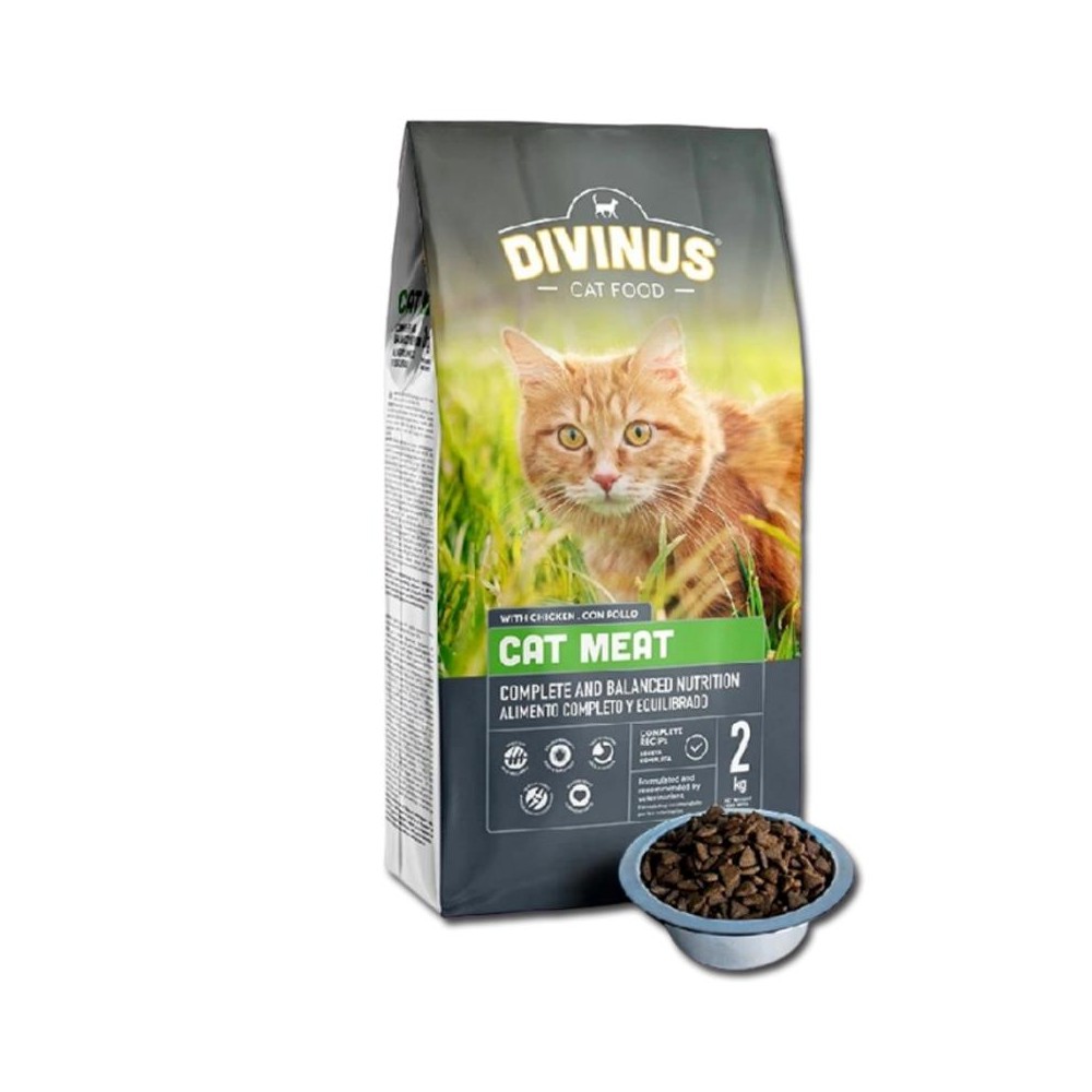 PRÓBKA Divinus Cat Meat  150g