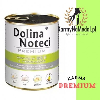 Mokra Karma - Dolina Noteci Bogata w Gęsinę